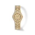 Coda - Gold