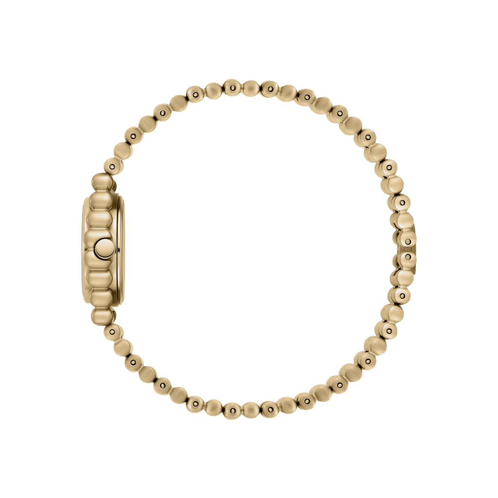 Coda - Gold