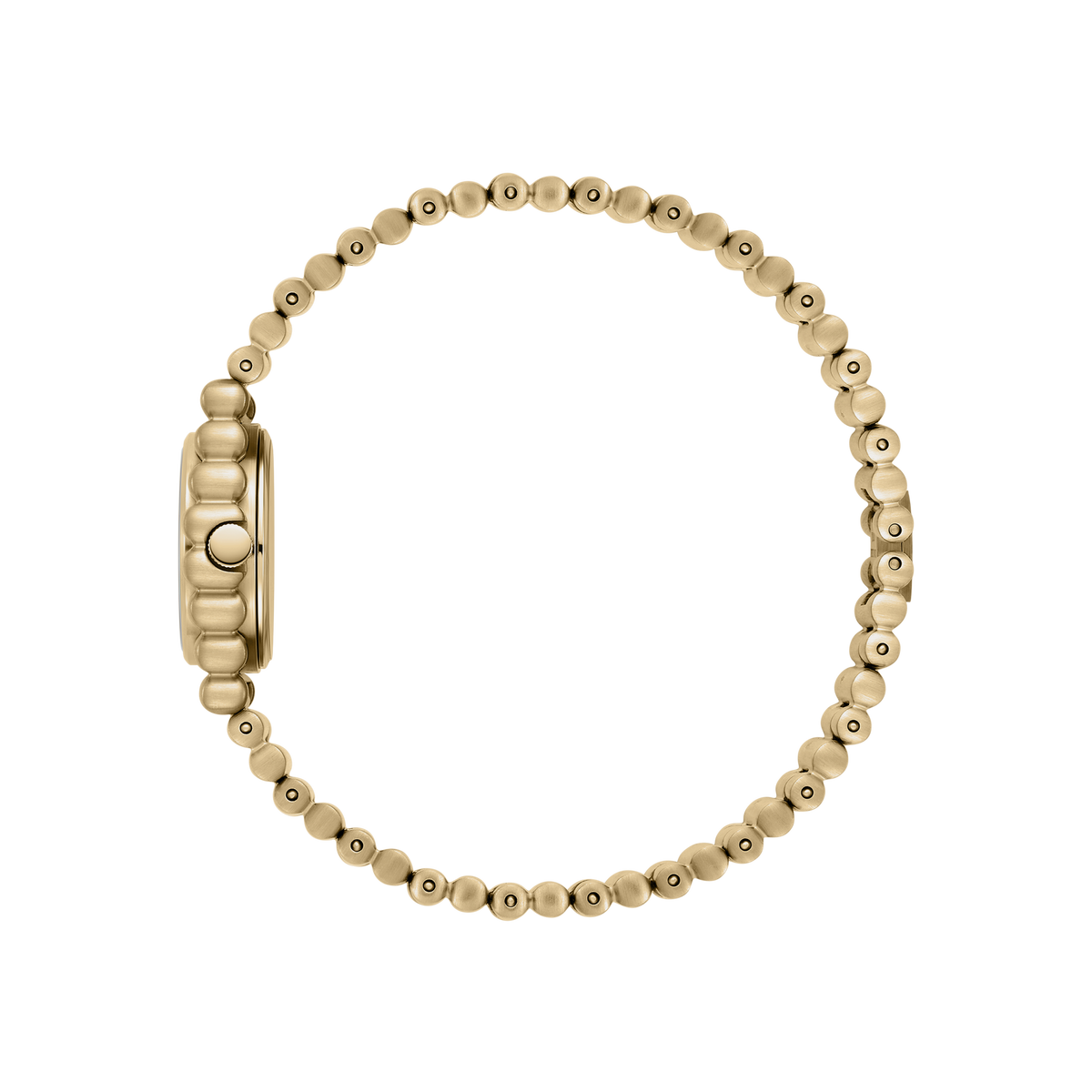 Coda - Gold/Midnight